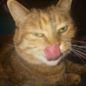 Meet your Posher, Deedee